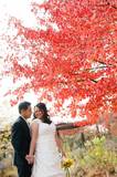 WeGotHitched