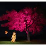 Usha