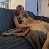 Kelsey