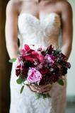 Violette
