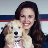 Haley