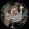 Karisa