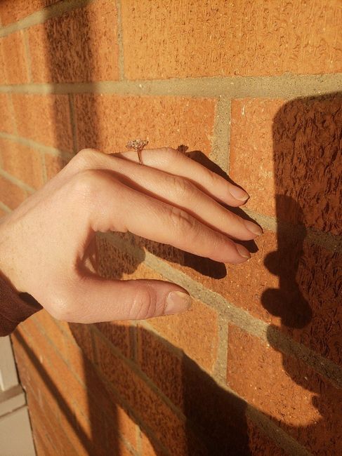 Engagement Ring Bliss 6