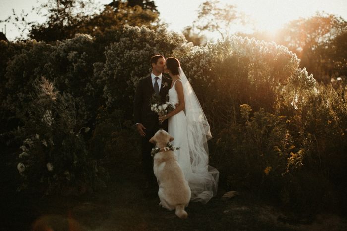 New York City Photographers 4