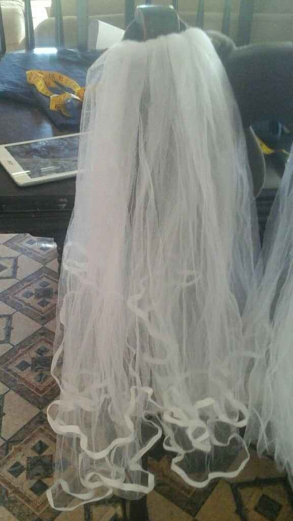 Anyone DIY the Veil?