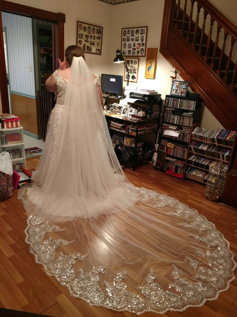 2 questions! Veils and bridesmaids 2