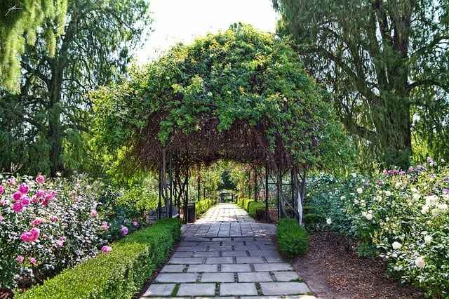 If I were having a ____ wedding, I would want _____!