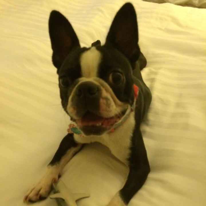 NWR: Memes & Cute Animal Pictures