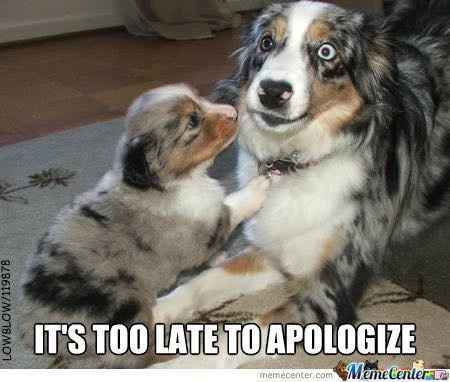 Clearly I am incapable of any form of human interaction