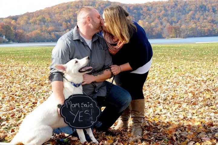 Engagement photos... with the pooch!