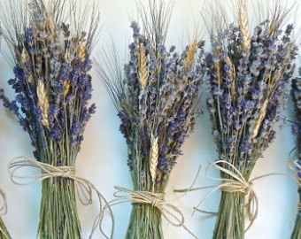 Ladies I wanna see your.....