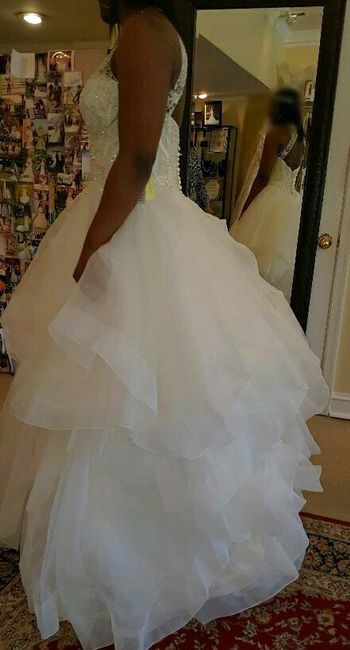 Bustles and Accessories - 2