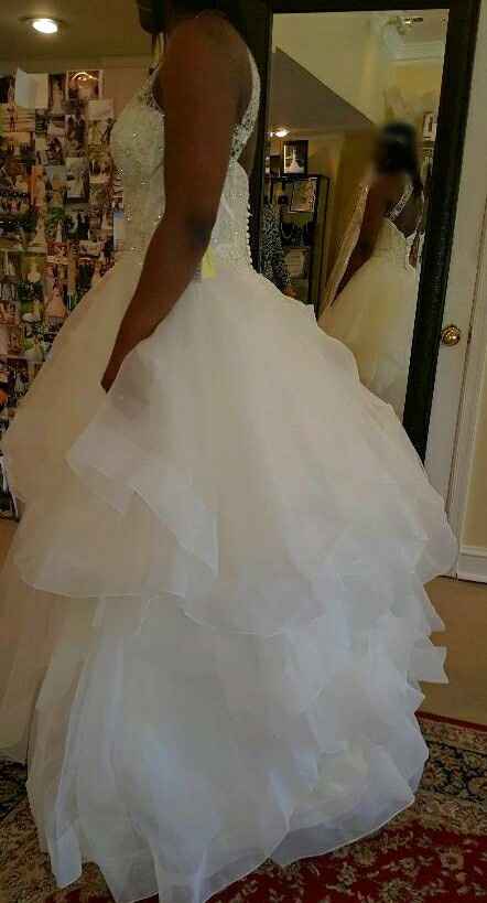 Bustles and Accessories - 2