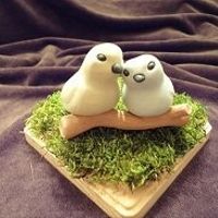 What are you using for a cake topper?