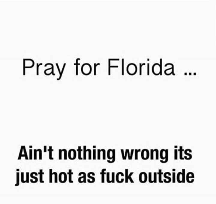 Bc I am a basic white bitch.