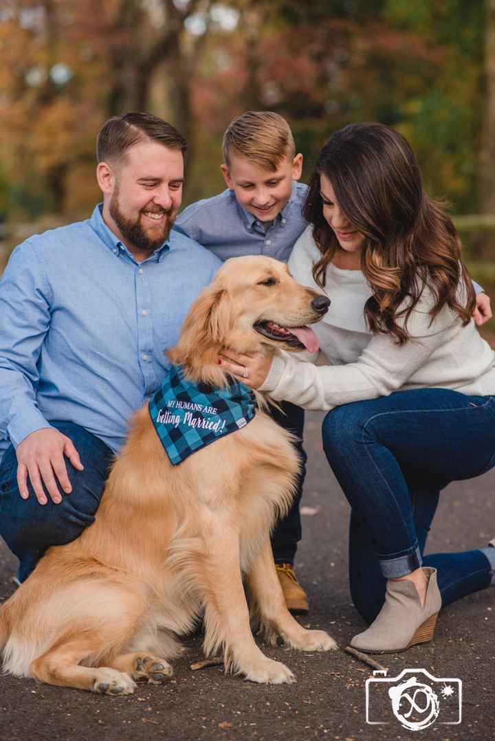 Pets in Engagment Photos - 1