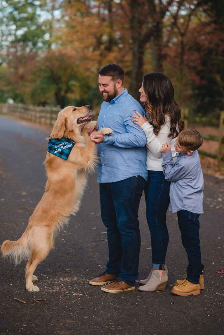 Pets in Engagment Photos - 3