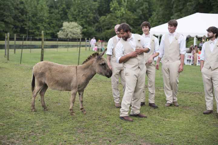 a not drunk, sobbing, dramatic BAM! (this is going to be long and pic heavy!)