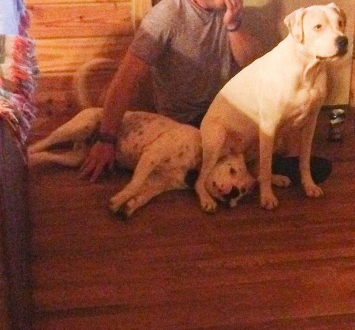 NWR- Furbaby Friday
