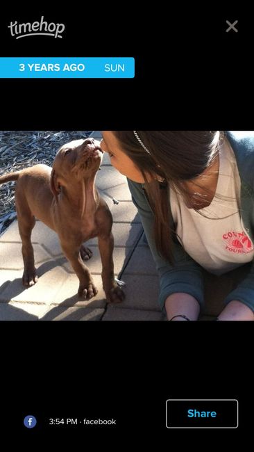 NWR: Happy Furry Fursday, let's see them fur babies!