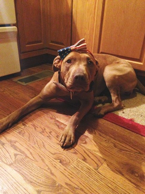 NWR: Happy Furry Fursday, let's see them fur babies!