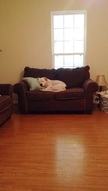 NWR Show me your furbabies