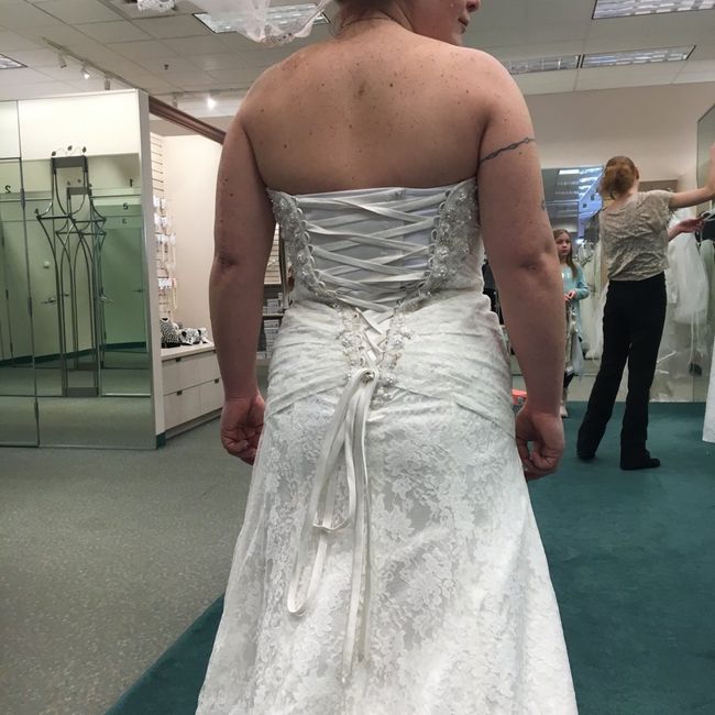 David's Bridal Brides! 17