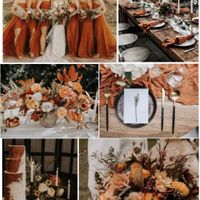 2024 fall colors - 1