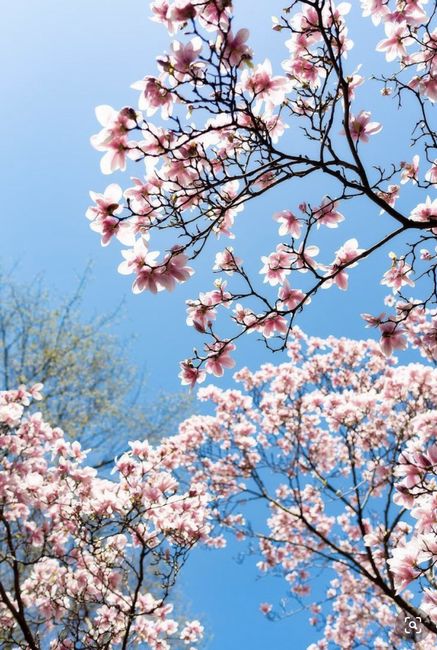 Seeing the whole picture 🤩 50