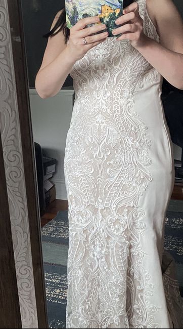 Stuck between 2 dresses (the Final contenders) 4