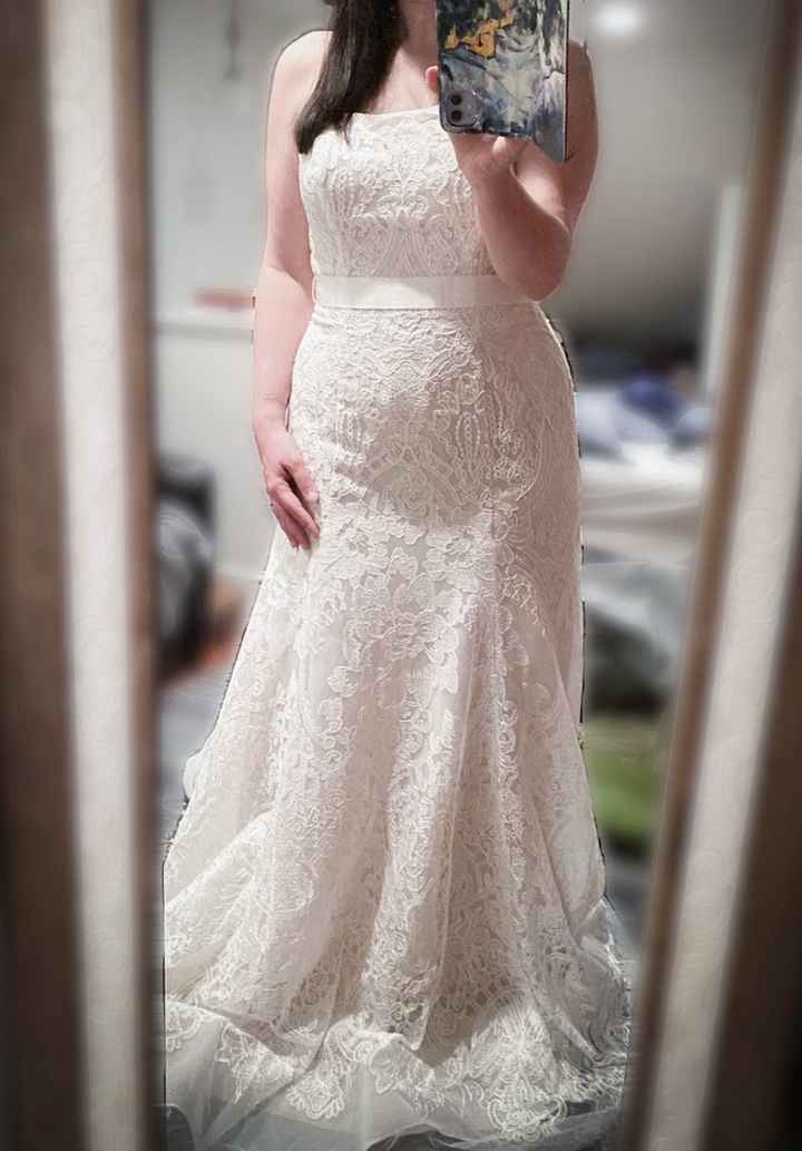 The battle of the two dresses 1
