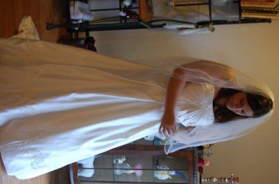 This is My dress i bought at david's what do you think?