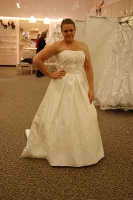 This is My dress i bought at david's what do you think?