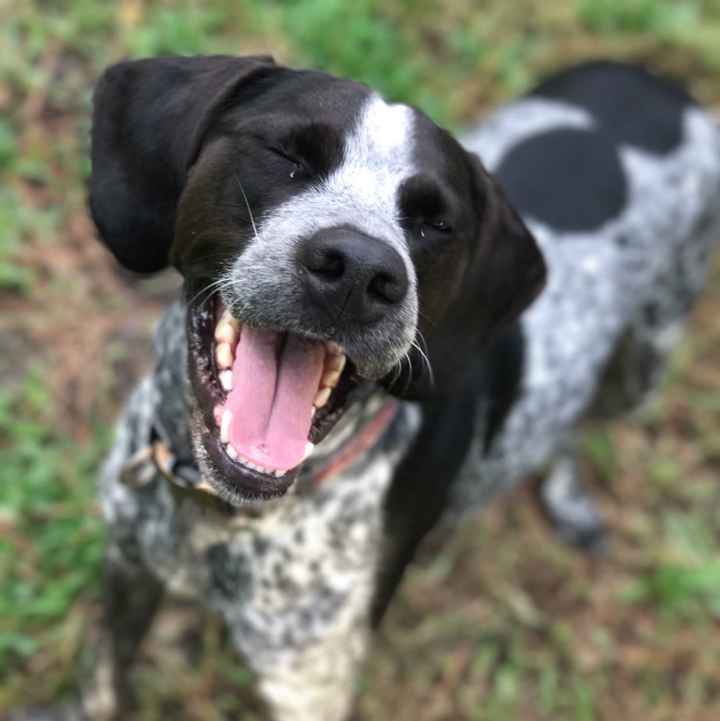 NWR: Just A Little Pick Me Up Post