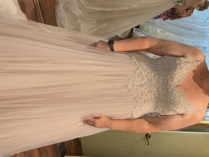 Let's See those Blush Wedding Dresses! 3