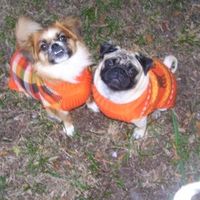 Furbabies!!! Lets show them off!