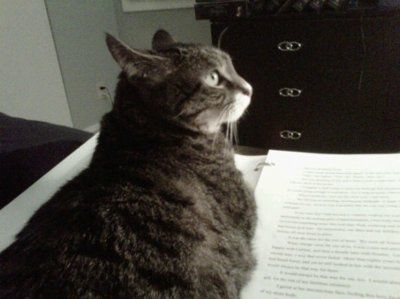 *NWR* Show me your pets/animals! *PICS*