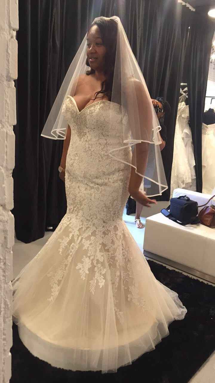 Where are my curvy brides?
