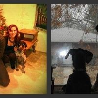 Keeping my mind of my wedding...Show me your dog:)!!**Pics