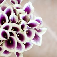 Help! Where to find?