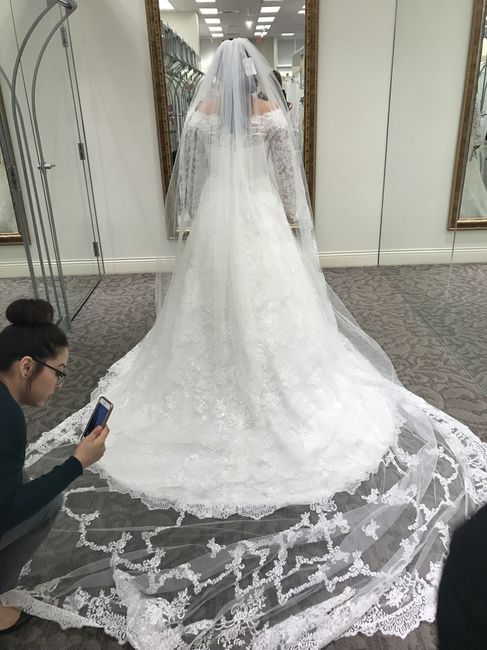 Intro/Dress Shopping
