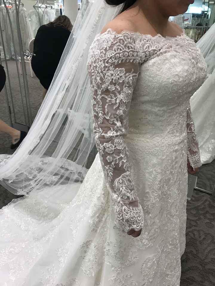 Intro/Dress Shopping