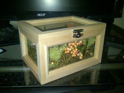 Started wedding-bearer box