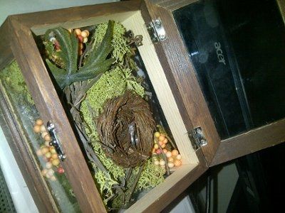 Started wedding-bearer box