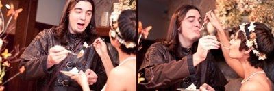 Pro Pics of the Fairy/Viking wedding!