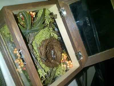 Started wedding-bearer box