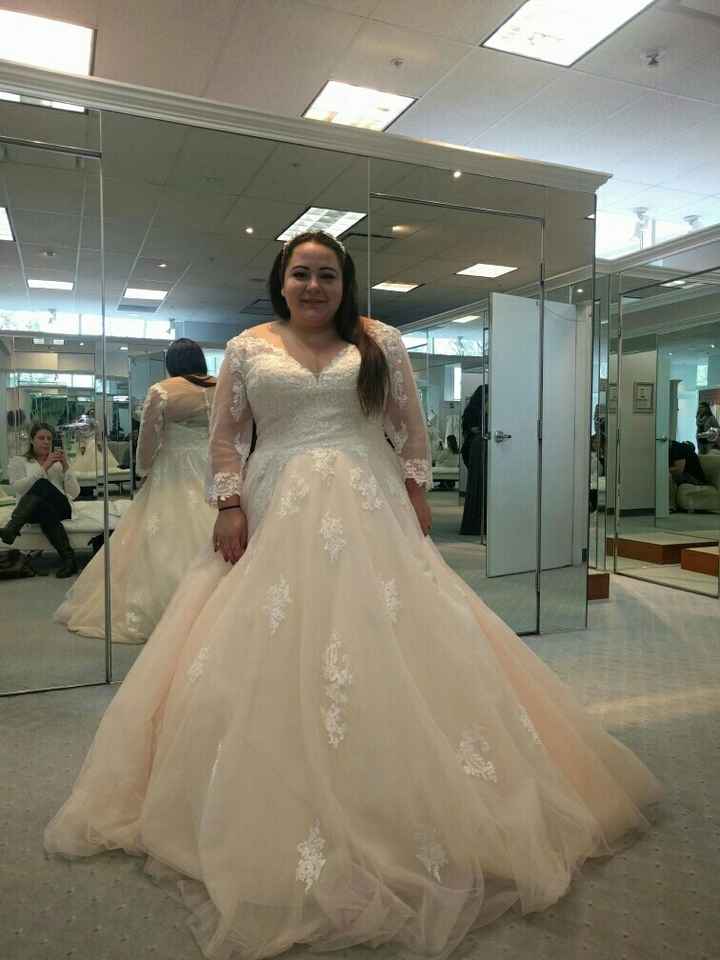 First round of trying out dresses.