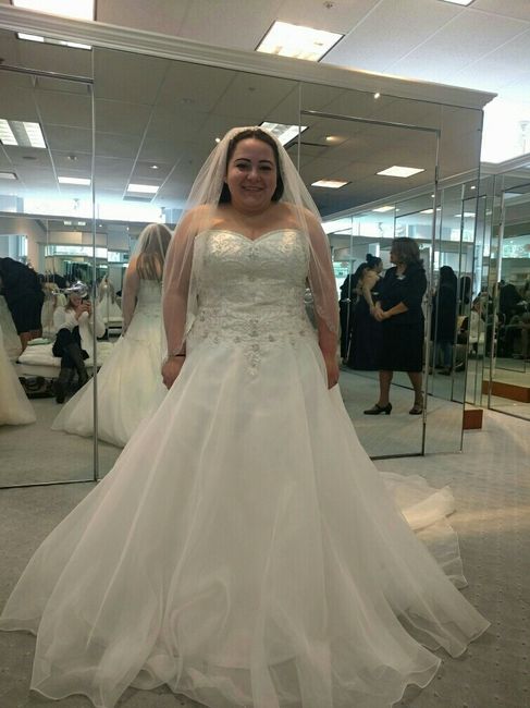 First round of trying out dresses.