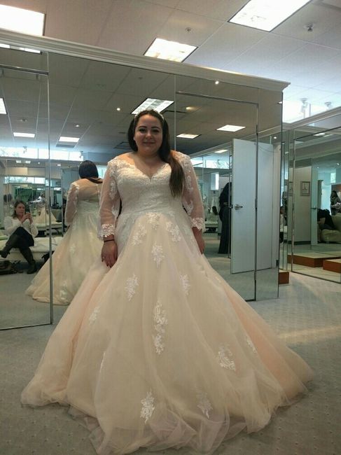 First round of trying out dresses.