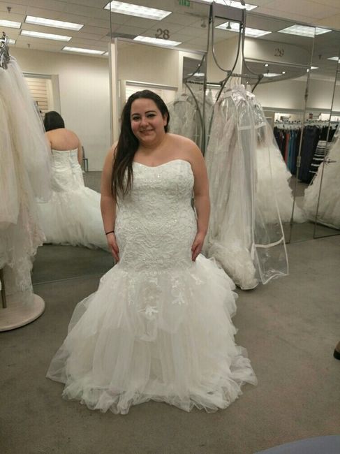 First round of trying out dresses.